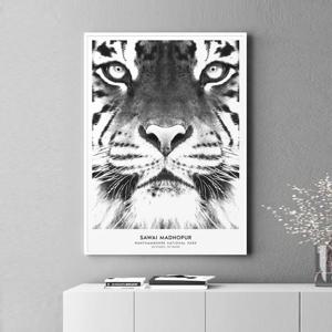 [주문제작][위드포스터]호랑이 동물 그림 인테리어 액자  50x70 포스터