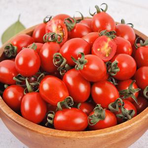 [감동 토마토] 대추 방울 토마토 2kg 3번과 중과