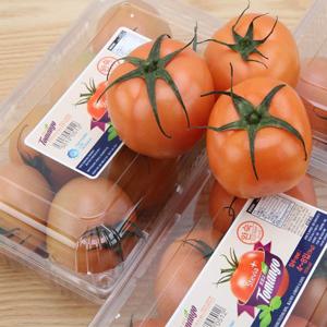 [자연품애 토마토]스테비아토마토 토망고(단마토) 3kg (1kg x 3팩)