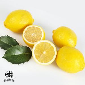 [농부마음] 상큼한 팬시 레몬 5과 (개당 120g 내외)