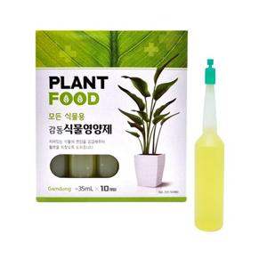 식물 영양제 10P 고급 화분영양제 화분 식물 비료