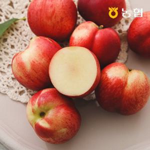 [자연맛남] 농협선별 새콤달콤 신비복숭아 2kg 대과 (20과내외)