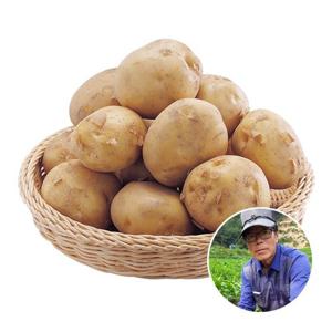 [산지장터] 전남 보성 김동식 님의 햇 감자 대사이즈 10kg