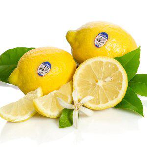 [썬키스트] 정품 팬시 레몬 20개입 총2.4kg (개당 121g내외)