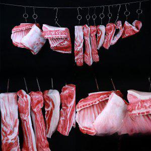진짜같은 돼지고기모형 샘플 음식 식품 모형 정육점 마트 삼겹살 갈비 돼지머리
