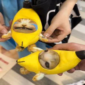 바나나 캣 인형 바나나 소리나는 밈 장난감 키링 해피캣 틱톡 고양이