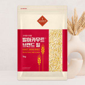 고대곡물 정품 발아카무트 1kg