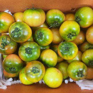 대저 짭짤이 토마토 2.5kg 로얄과