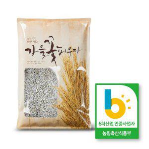늘보리 5kg 꽁보리 보리밥 늘보리쌀