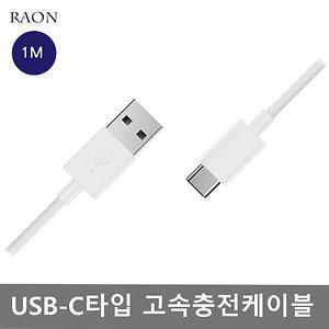 RAON USB-C타입 퀵차지 급속 고속 충전기 충전케이블