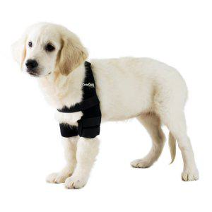 오르토카니스 강아지 양쪽 팔꿈치 어깨보호대 ORT005