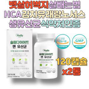 뱃살 허벅지살 빼는법 HCA 김치유래 람노서스 생유산균 식약처인증