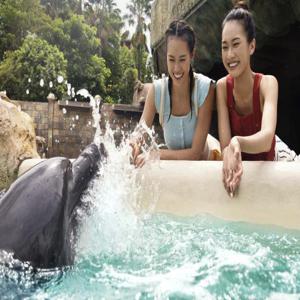 싱가포르 리조트 월드 센토사-돌고래 섬 체험권