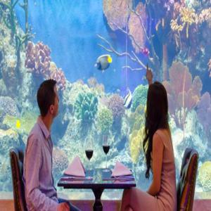 Copper Aquarium Restaurant에서 무제한 해산물 뷔페 | 방콕