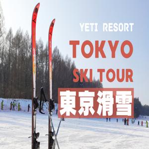 후지야마 스노우 리조트 예티: 전문 강사와 함께하는 1일 스키 & 썰매 체험 (도쿄 출발) | 일본