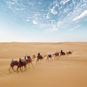 두바이 사막 사파리 투어