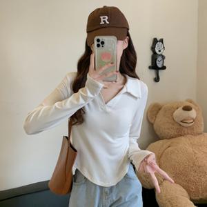 카라 티셔츠 기본 여성 카라티 긴팔 브이넥 PK 긴팔티