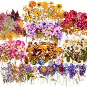 380개의 압축 꽃 스티커 세트, 건조된 꽃 테마의 수지 저널링 스티커, 꽃과 자연적인 식물의 낙엽 데칼, 스크랩북 용품, 불릿 젱크 저널, 병, 플래너, 노트북을 위한 것입니다.