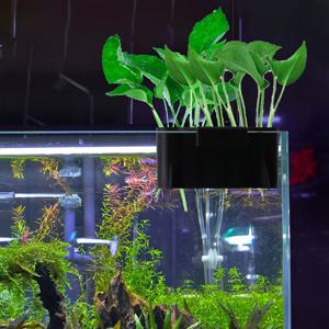 수족관 식물 홀더 2개, 수족관에 매달 수 있는 물고기 양식 용 식물 화분, 수족관 장식용 물 특징을 위한 컵