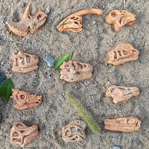 11개 공룡 두개골 모델 세트 - 공룡 애호가를 위한 완벽한 선물, 공룡 두개골 화석 모델 세트, 티라노사우루스 렉스 두개골 화석, 과학 탐험 작은 선물
