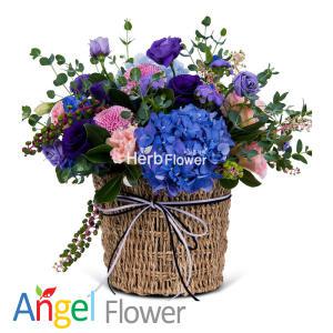 사랑스러운 꽃바구니 생일선물 전국당일배송꽃배달