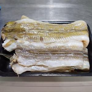 통영 반건조 장어 350g 특대 2~3미 통영 바다 장어 말린장어 통영장어 아나고 붕장어 손질장어