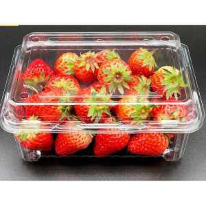 딸기 포장 용기 투명 플라스틱 페트 사각 과일 상자