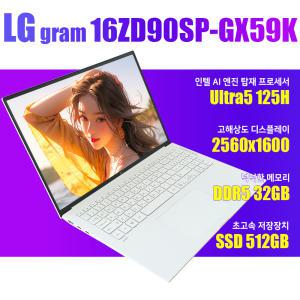 LG그램/16ZD90SP-GX59K/코어울트라5/램32G/WIN11설치
