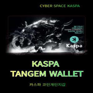 카스파 코인지갑 탕젬 탄젬코인 하드월럿 Tangem Wallet Coin Card 3개입