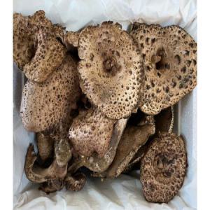 자연산 냉동 능이버섯 냉동능이 B급 1kg 자연산 능이 버섯_MC
