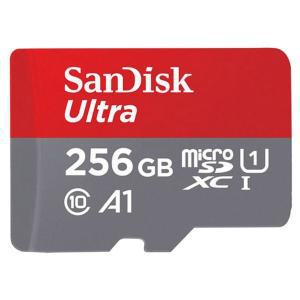 Micro SD카드(256GB/SanDisk)