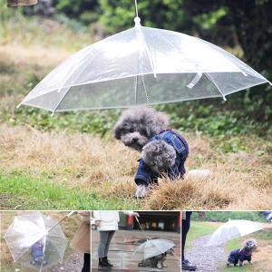 비오는날 산책 강아지 애견 우산 쓰기 비옷 댕댕이 반려견 펫 야외 배변
