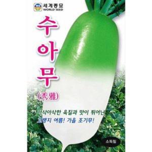 gr수아무 무우 씨앗 종자 김장무 가을무 씨 무씨 10g