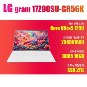 LG전자 2024 그램17 17Z90SU-GR56K 16GB램 (SSD 2TB)
