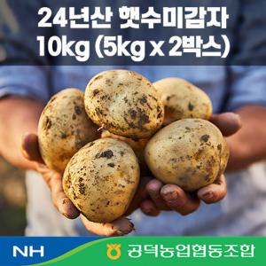 24년 김제 공덕농협 특등급 햇 수미감자 10kg