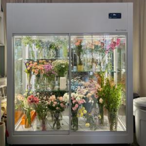 라로 꽃집 생화 보관 꽃 플라워 냉장고 쇼케이스(상치형)