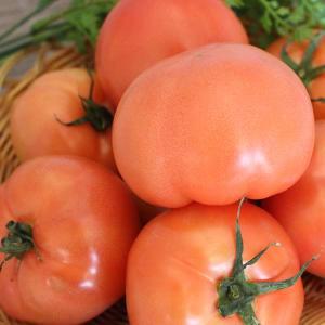 국내산 토마토(특)대과1~2번 10kg  1박스 자연대로팜웨이