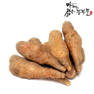 [마캐는젊은농부들]마 안동마 산마 2kg 3kg 참마 생마