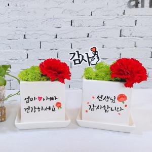 어버이날 스승의날 비누꽃 카네이션+스칸디아모스 공기정화/미세먼지 돈봉투+LED 돋보기