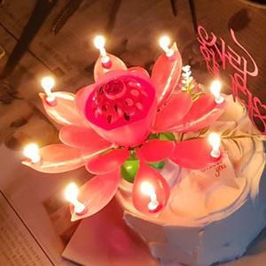 로에드 360도 생일축하 회전 멜로디 생일초 일반 연꽃초 케이크토퍼