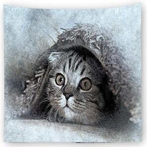 [신세계몰]고양이 프린트 벽 꾸미기 가림막 포스터 사이즈 소 (W815A6F)