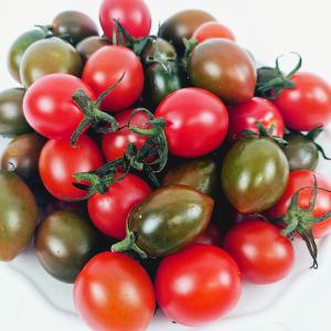 [당일수확]스테비아 방울토마토 흑방울 토마토 1kg 2kg