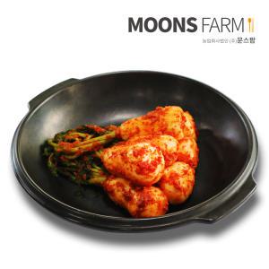 알타리김치 총각김치 5kg 국산 100% 전라도