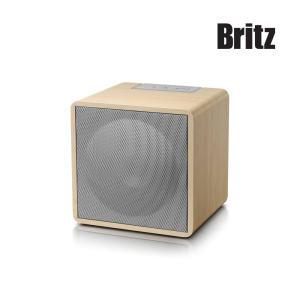 요즘대세 브리츠 BZ-NT22 포터블 블루투스스피커 / FM라디오 / TWS연결 / 10W출력