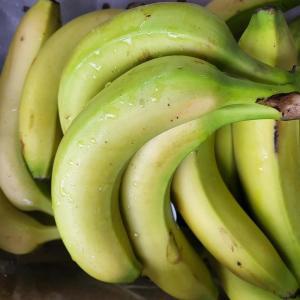 베트남 고산지에서 온 고당도 바나나 13kg / 과일쥬스 달콤 안전한먹거리 아침식사대용