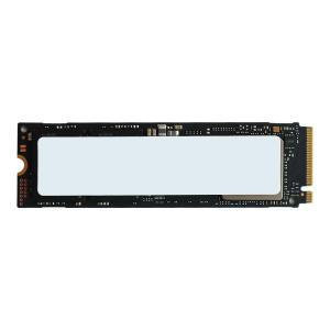 삼성전자 PM9A1 M.2 NVMe 병행수입 (1TB) SG