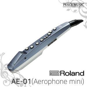 ROLAND 롤랜드 전자 색소폰 Aerophone mini AE-01 AE01 전자 색소폰 AE-10
