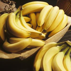 [G] 고당도 바나나 1.9kg (2송이)