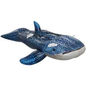 특이한 고래상어 대형 성인용 193cm 튜브