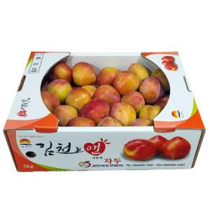 새콤달콤 자두 5kg